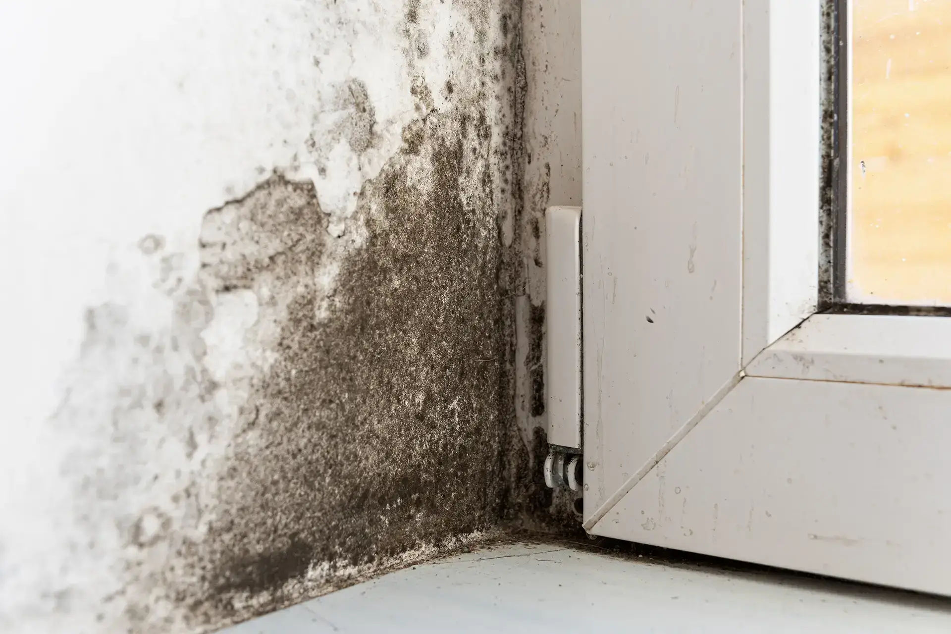 Restoring Your Peace Of Mind After Sudden Flooding — Los Angeles, CA